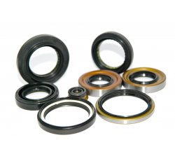 Oil Seals