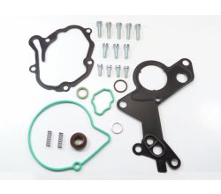 Tandem - Vacuum Pump Repaır Kits