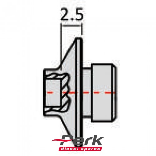 diesel spare P2-05017 2433124007 - 2433124379