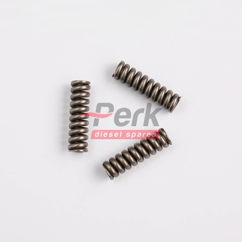 Compression Spring Injector EUI P2-02027 2434614040